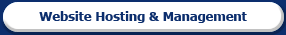 Web Hosting and Management
