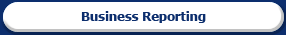 Business Reporting